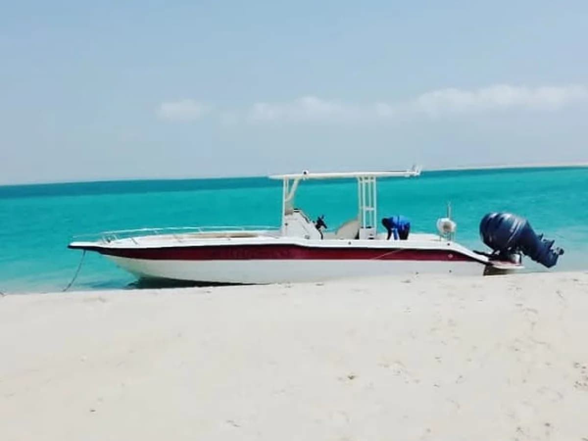 André Zivanes surf camp