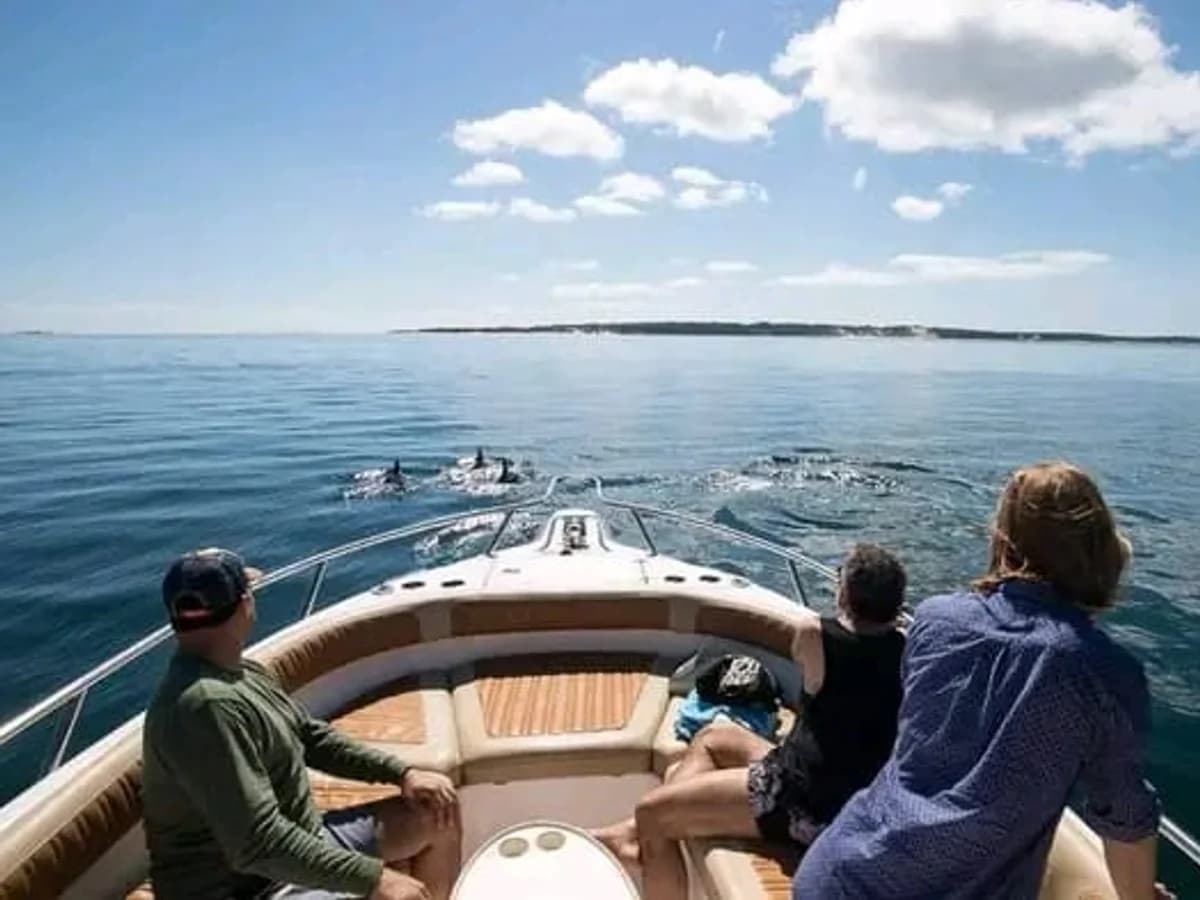 André Zivanes surf camp