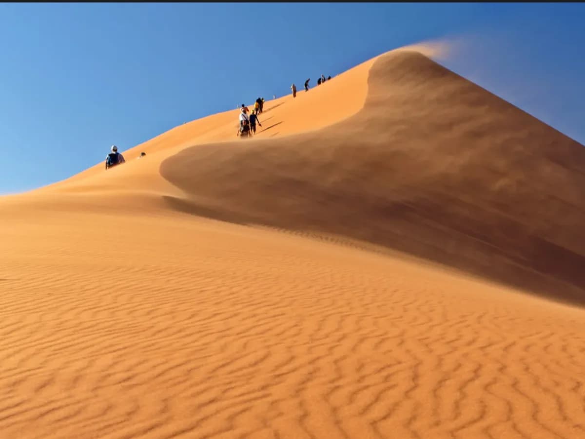 Chameleon Safaris surf camp