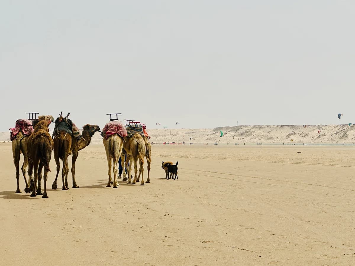 Dakhla Breeze Kiteschool surf camp