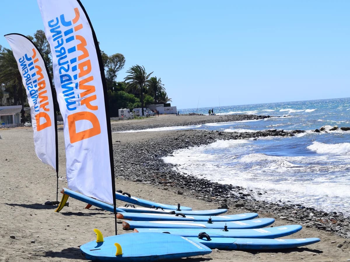 Dynamic Windsurfing surf camp
