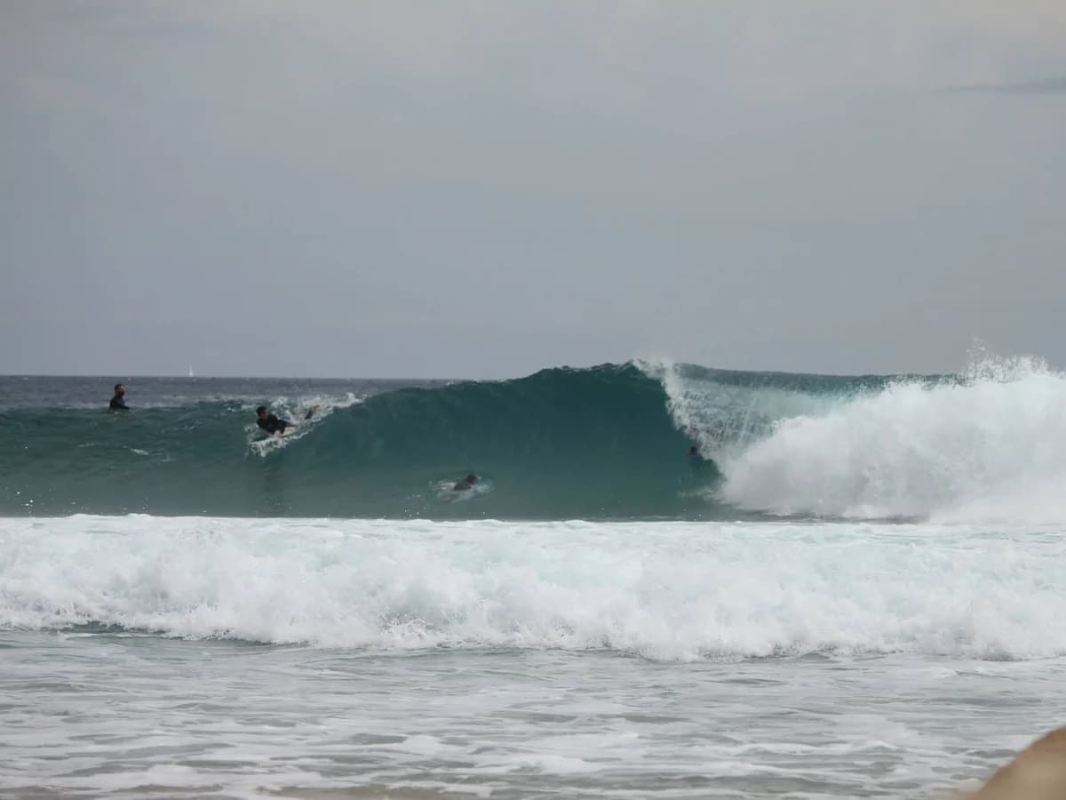 Sagres Natura Surf Camp surf camp