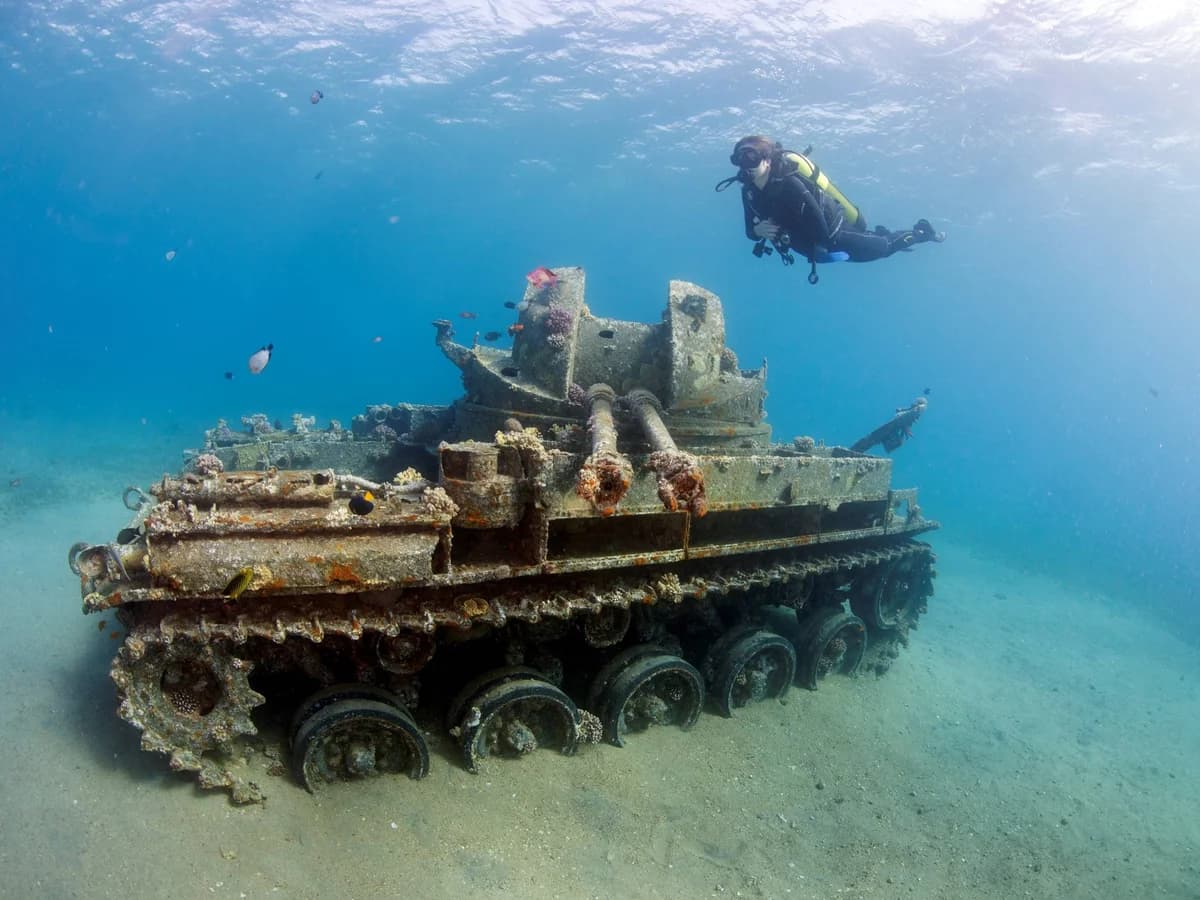 Salma Tours & Travel surf camp