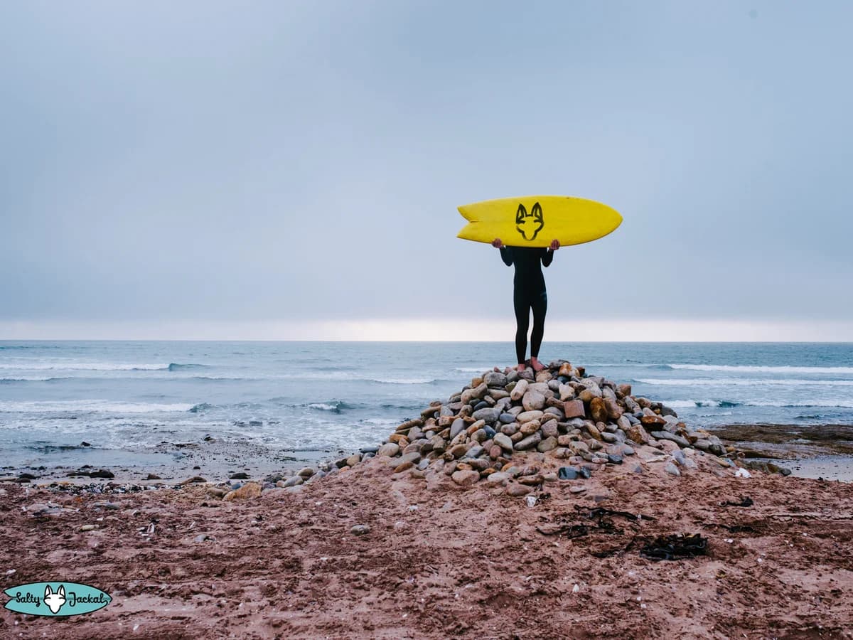 Salty Jackal Surf Camps surf camp