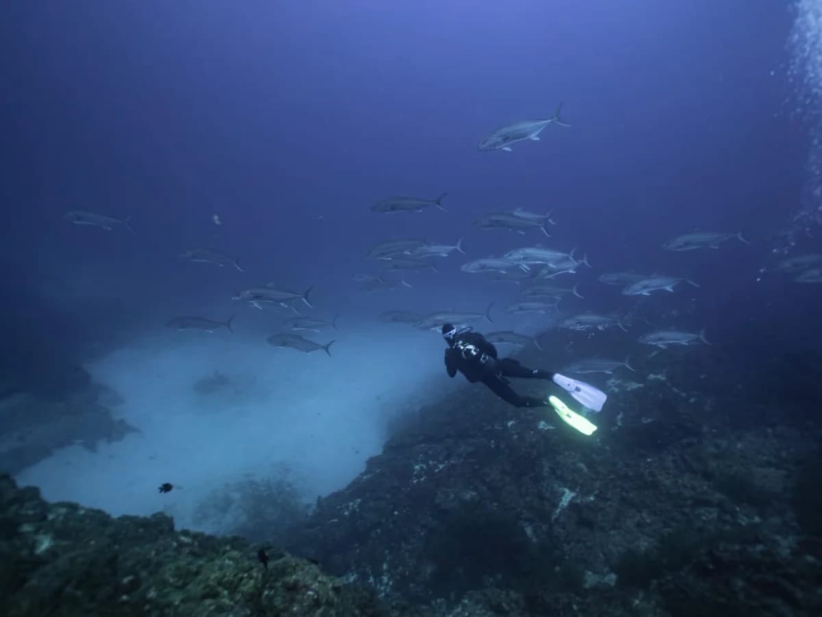 Single Fin Surf House surf camp