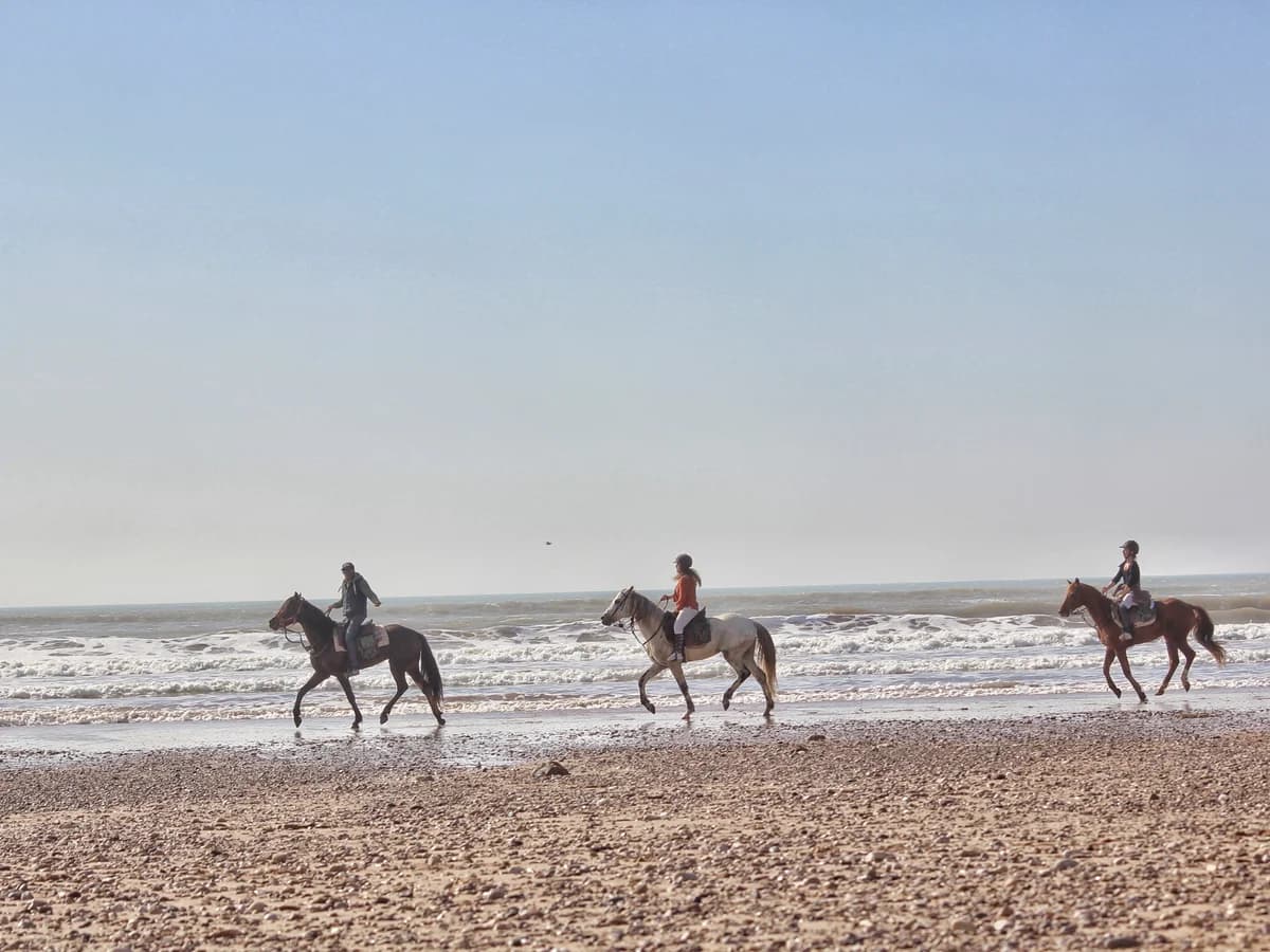 Surf Camp Essaouira surf camp