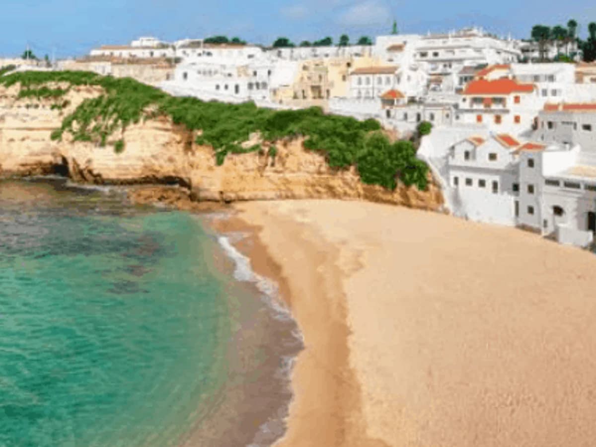 Surf Therapy Travel surf camp