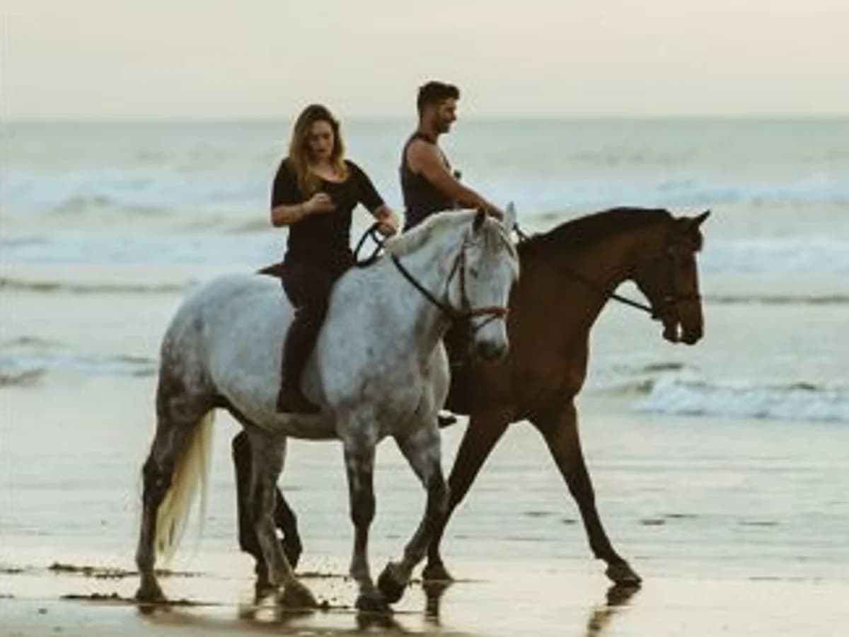 SURFANDTHERAPY surf camp