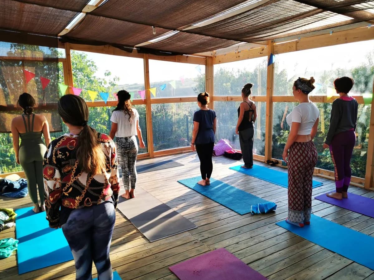 Surfcamp 360 surf camp