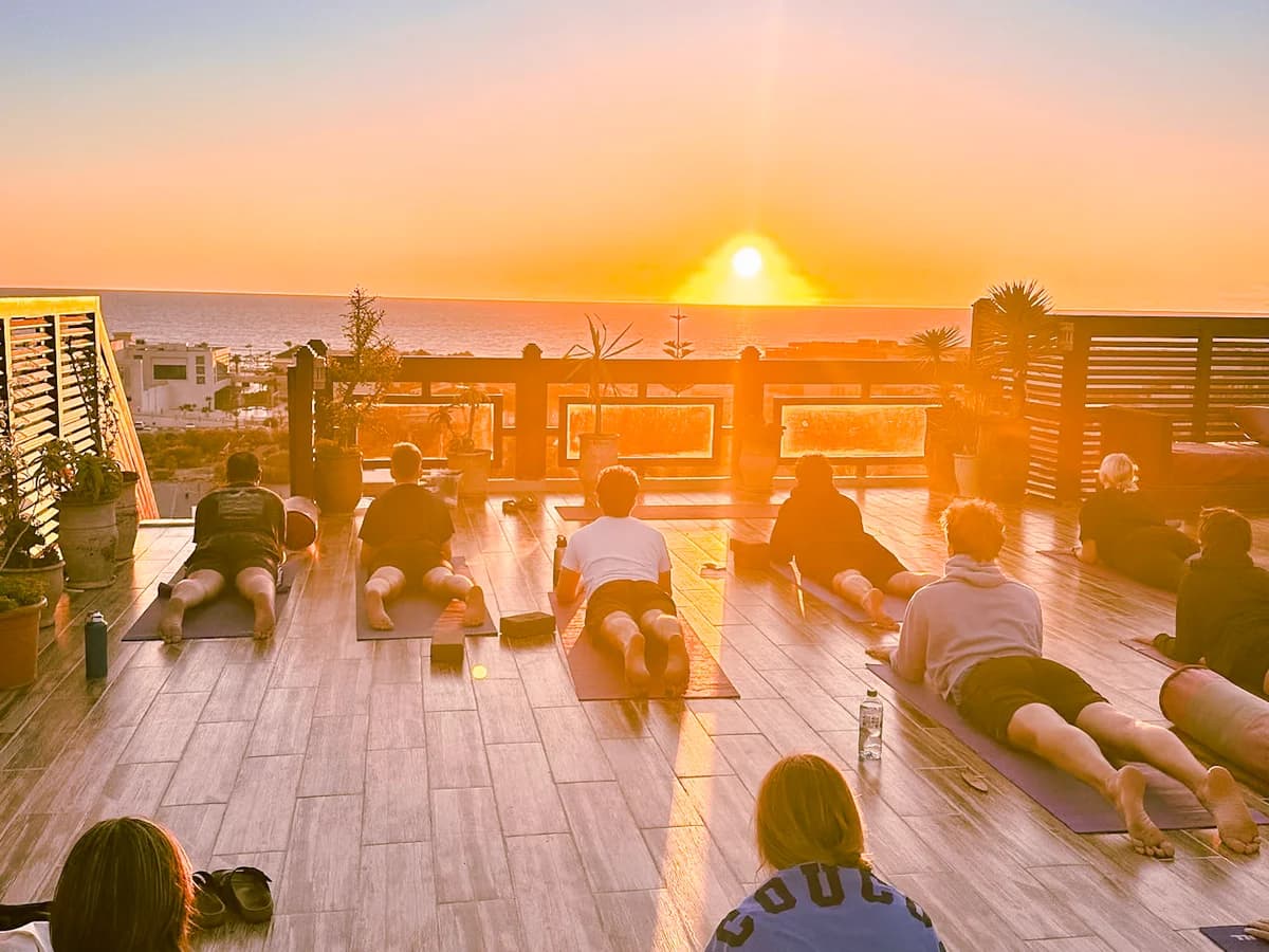 The Happy Buddha surf camp