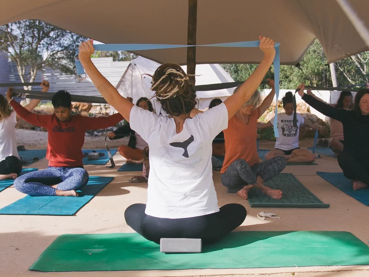 Tiny Whale Surf surf camp