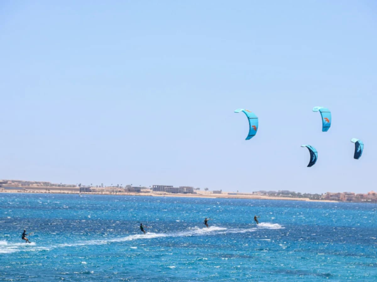 Tornado Surf Center surf camp