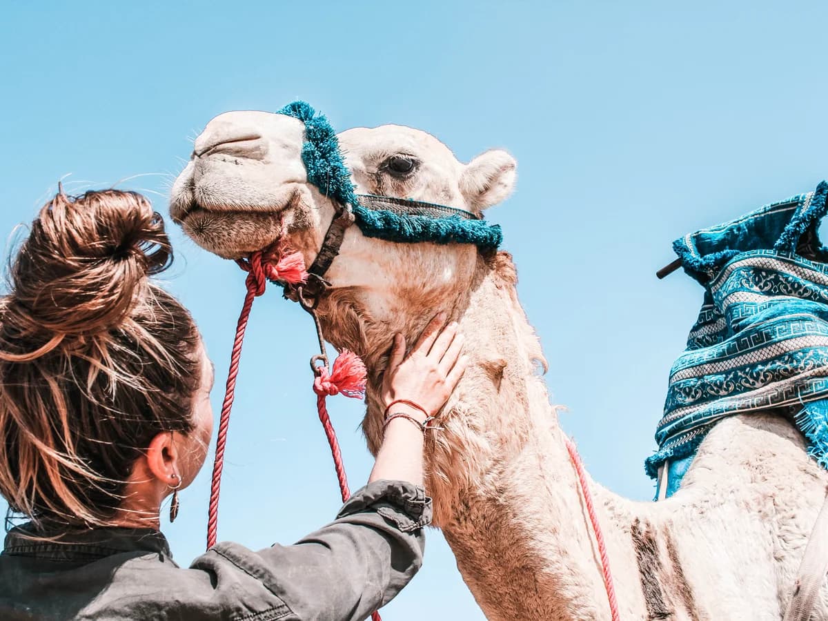 Wave Gypsy Surf & Yoga surf camp