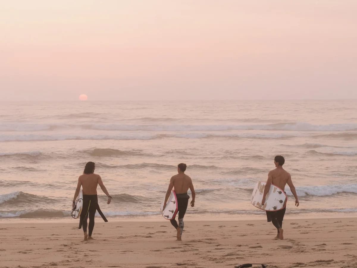 Wave Nest Surf Camp surf camp