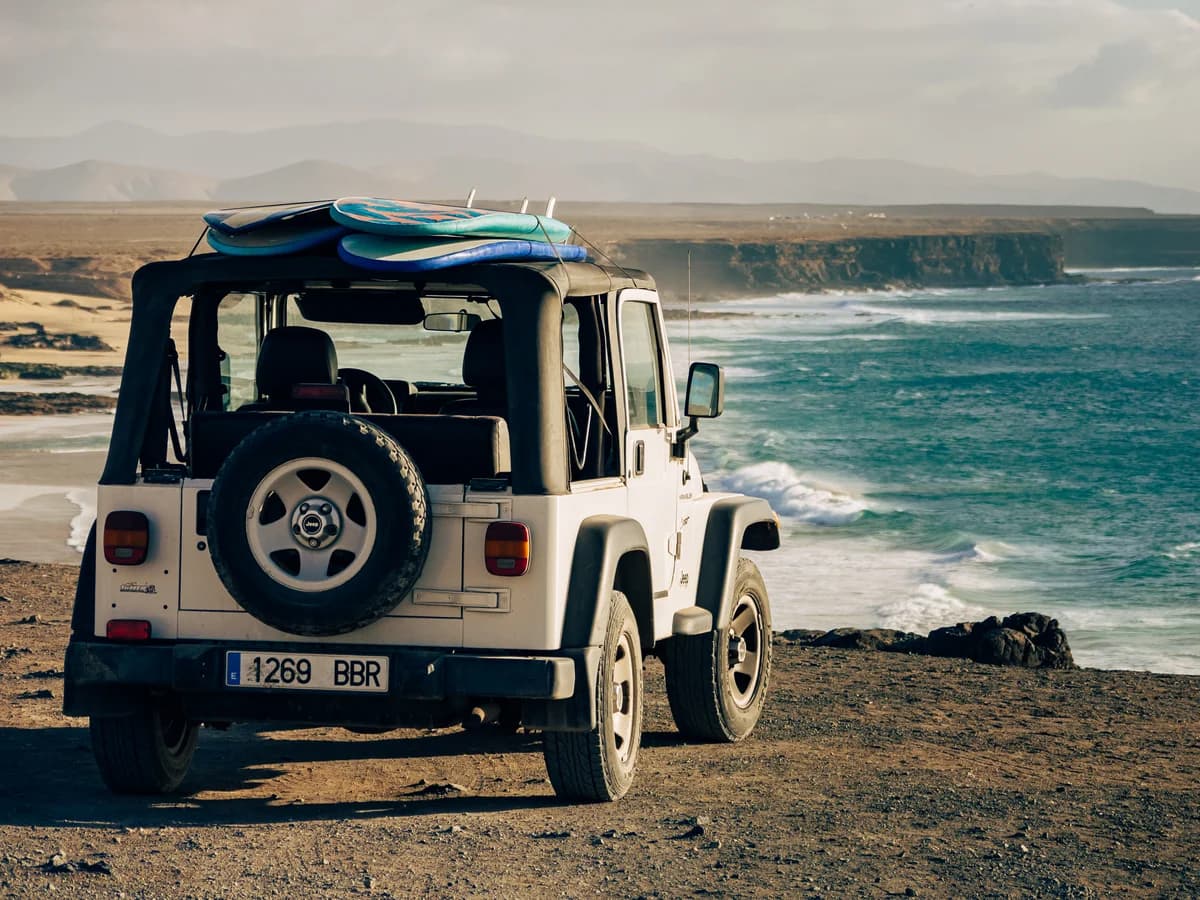 Willing to Surf surf camp