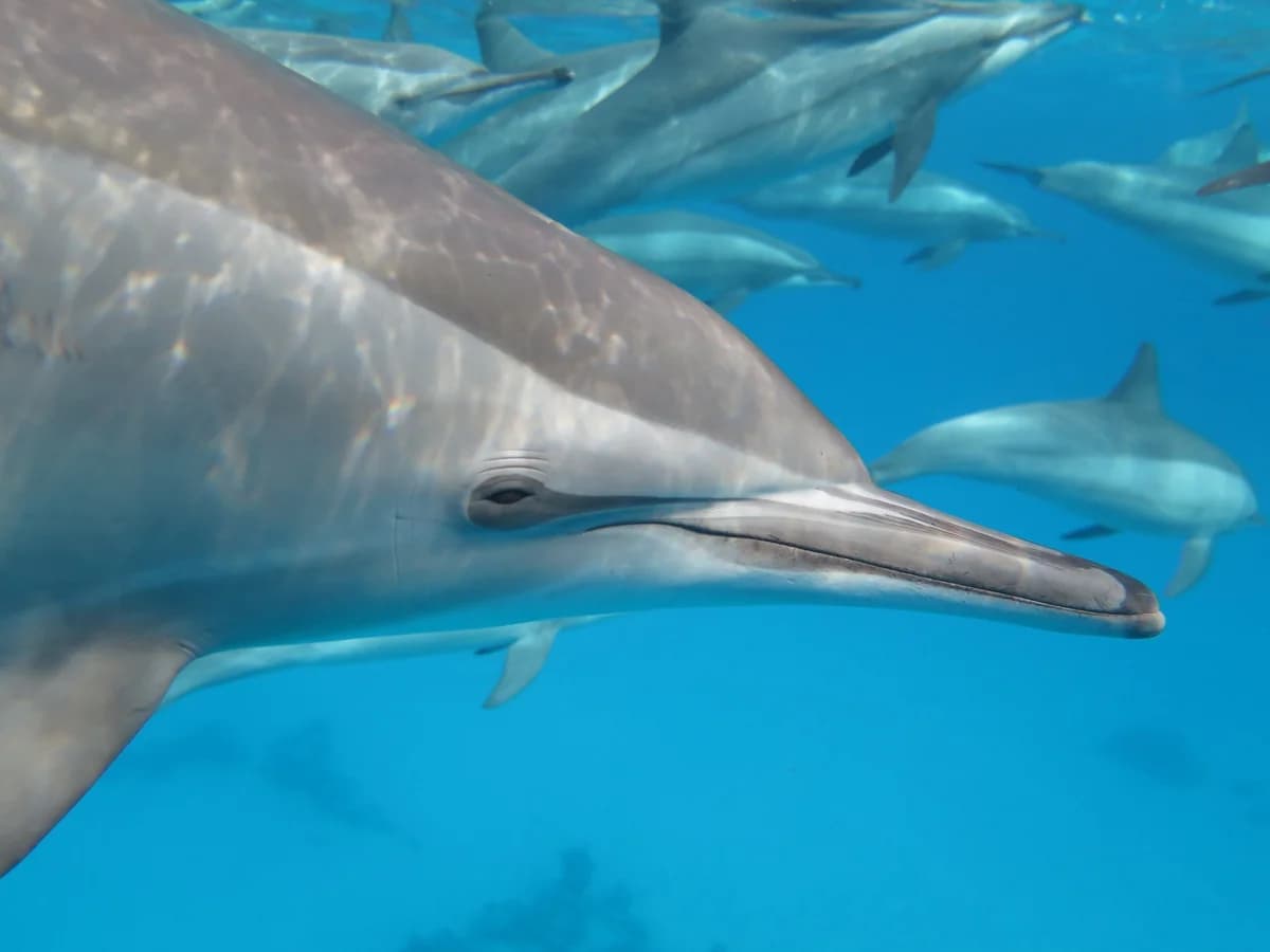 Yoga Life Studio surf camp